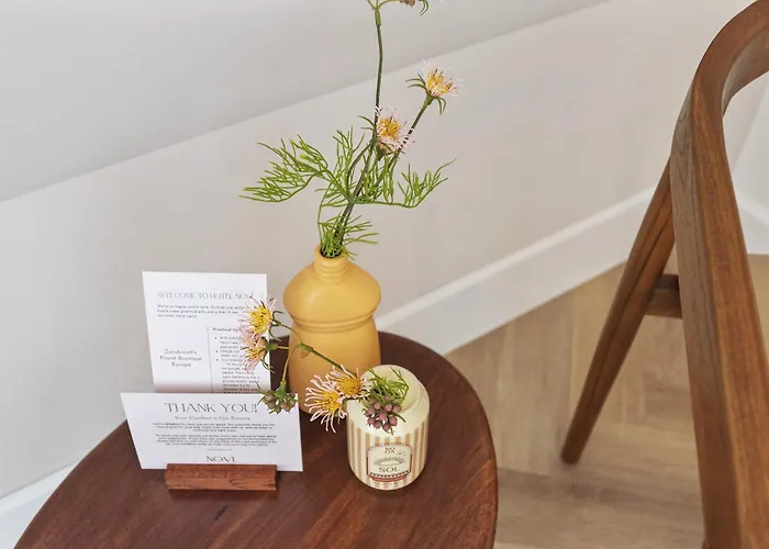 酒店 Boutique Novi *