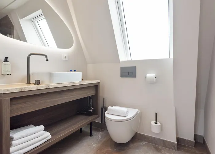 酒店 Boutique Novi *